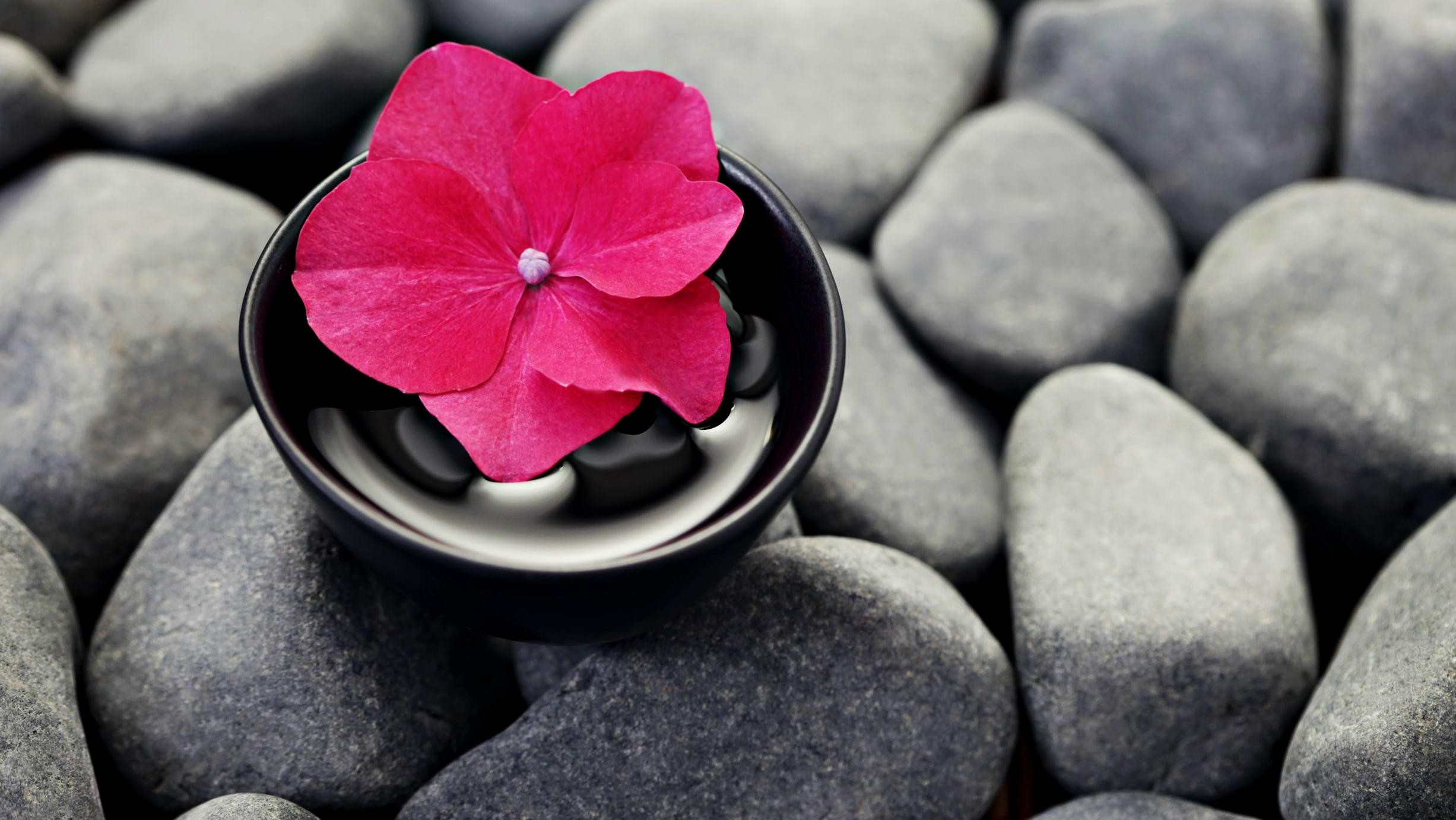 Harmoni hemma med feng shui